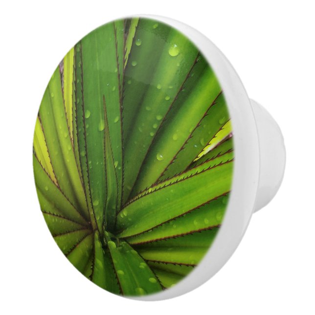 God morgon på Sherd Gräs Knopp (Höger)