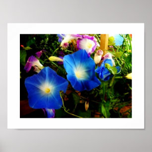 God morgon poster