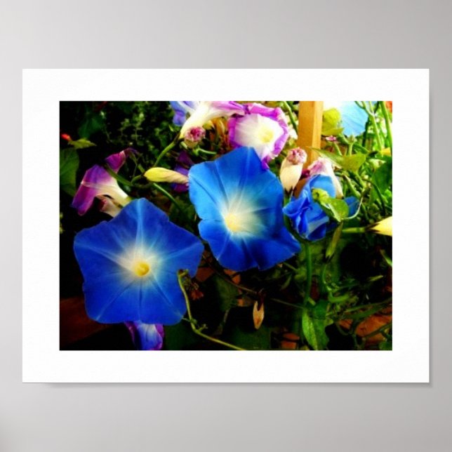God morgon poster (Framsidan)