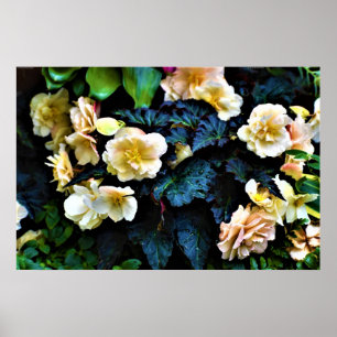 God morgon, Poster