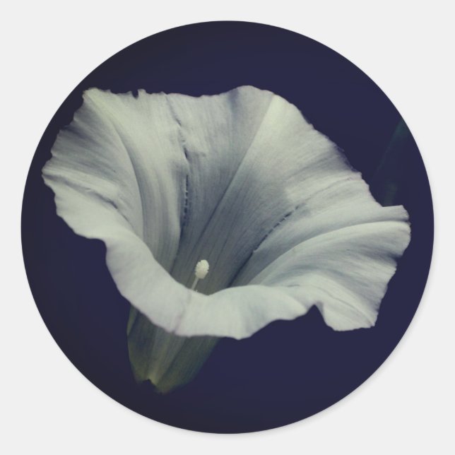 God morgon runt klistermärke (Framsida)