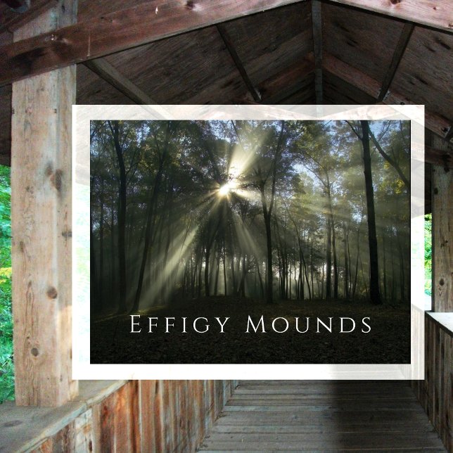 God morgon, solljus genom Träd, Effigy Mounds, IA Vykort (Skapare uppladdad)