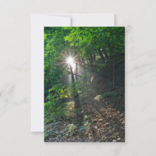 God morgon, Sunbeams of Kaposia Park Inbjudningar