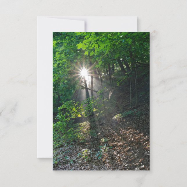 God morgon, Sunbeams of Kaposia Park Inbjudningar (Framsida)