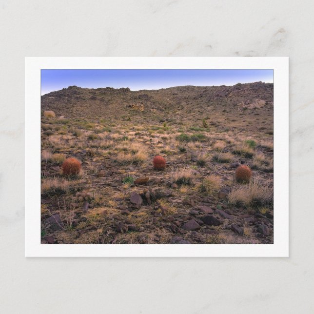 " God morgon Trifecta " Vykort (Framsida)