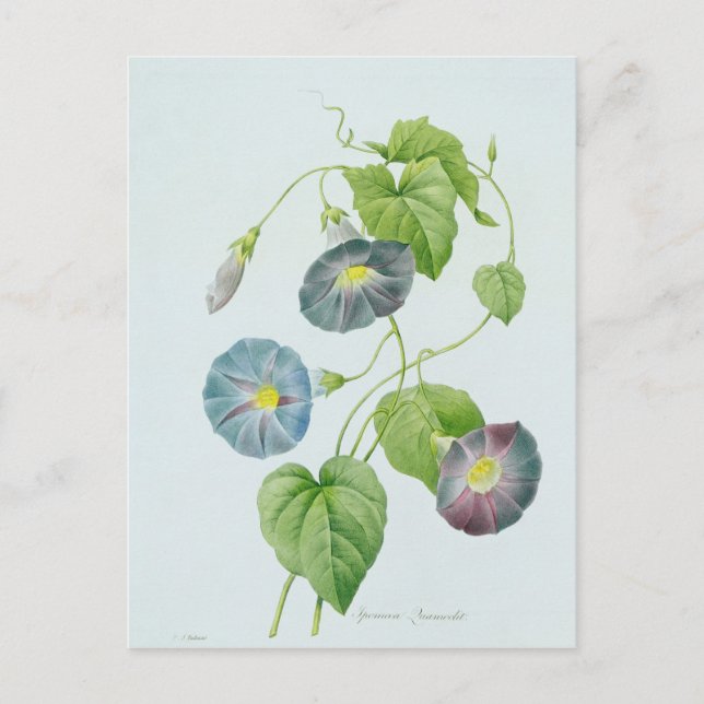 God morgon vykort (Framsida)