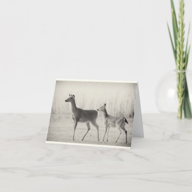 God morgon Whitetails Kort (Framsida)