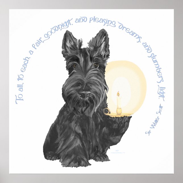 God natt skotsk terrier poster (Framsidan)