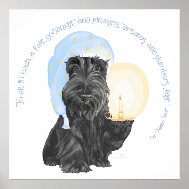 God natt skotsk terrier poster (Framsidan)
