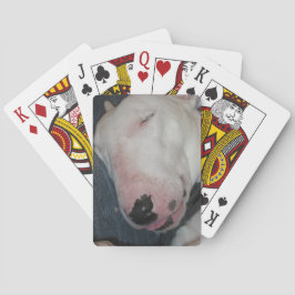 God Natt, Sova Sött, Dumma Hund Spel Kort