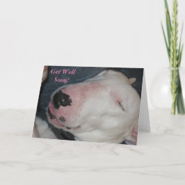 God Natt, Sova Sött, Dumma Hund - Tillfriskna Snar Kort