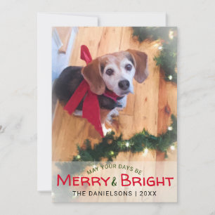 God och ljus Beagle Hund Red Bow Photo jul Julkort