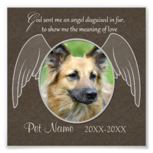 God Sent en Anpassningsbar av Angel Pet Sympathy Fototryck