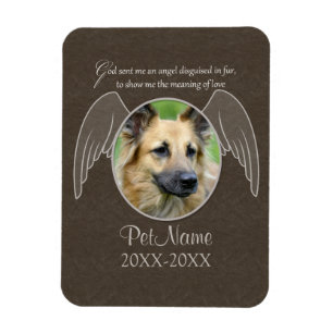 God Sent en Anpassningsbar av Angel Pet Sympathy Magnet