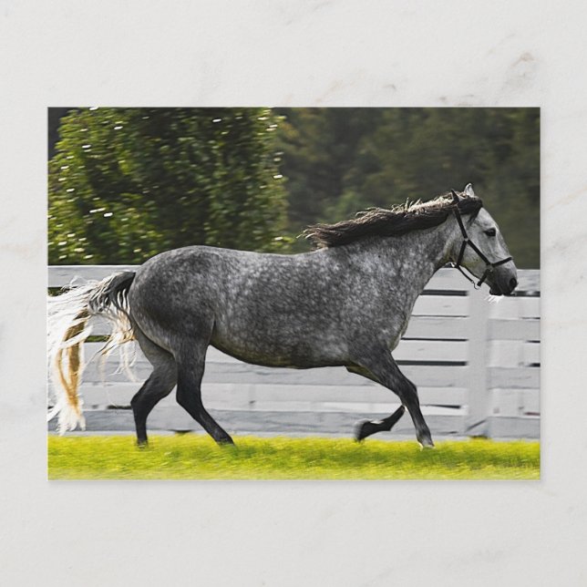 God Springa Vykort (Framsida)