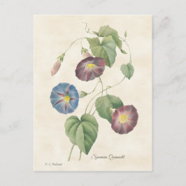 God Vintage i botanik illustration Vykort