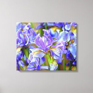 Goda Lila Irises i maj Canvastryck