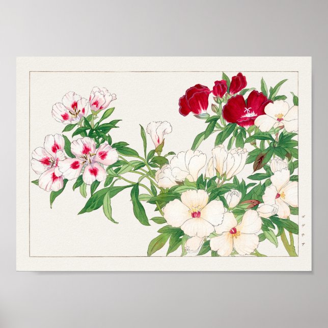 Godetia av Tanigami Konan Poster (Framsidan)