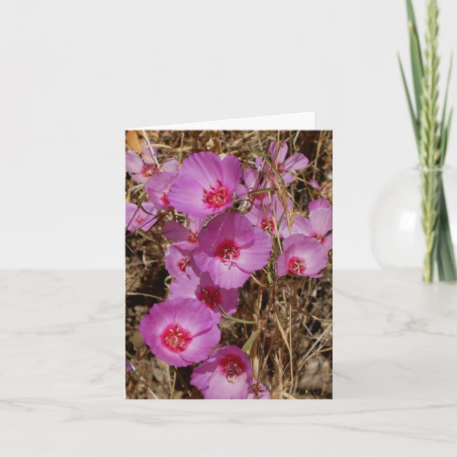 Godetia Note-kort Kort (Framsida)