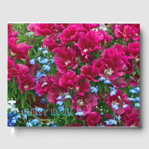 Godetia och Lobelia Gästböcker