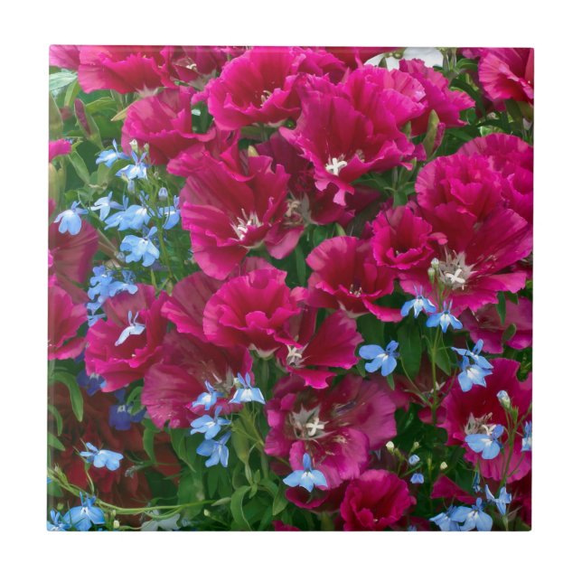 Godetia- och Lobelia-gåvor Kakelplatta (Framsidan)