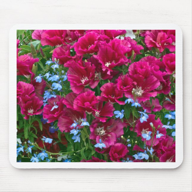 Godetia- och Lobelia-gåvor Musmatta (Framsidan)