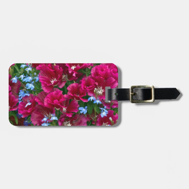 Godetia Och Lobelia Presenter Bagagebricka (Horisontell Framsida)