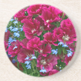 Godetia och Lobelia Underlägg