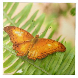 Gödfjäril Kakelplatta