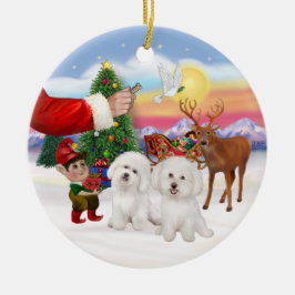 Godis till två Bichon Frise Julgransprydnad Keramik