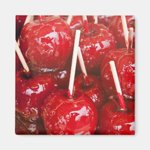 Godisförtad frukt på Stuttgart Beer Festiva Magnet
