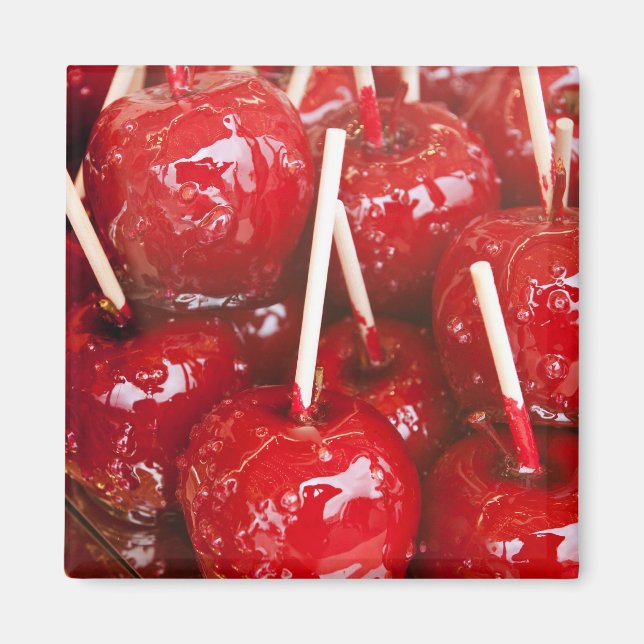 Godisförtad frukt på Stuttgart Beer Festiva Magnet (Framsidan)
