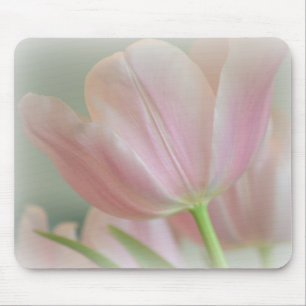 Godisrosatulpan Musmatta