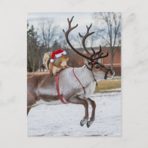 Godkänd Santa Squirrel och Leaping Reindeer Vykort