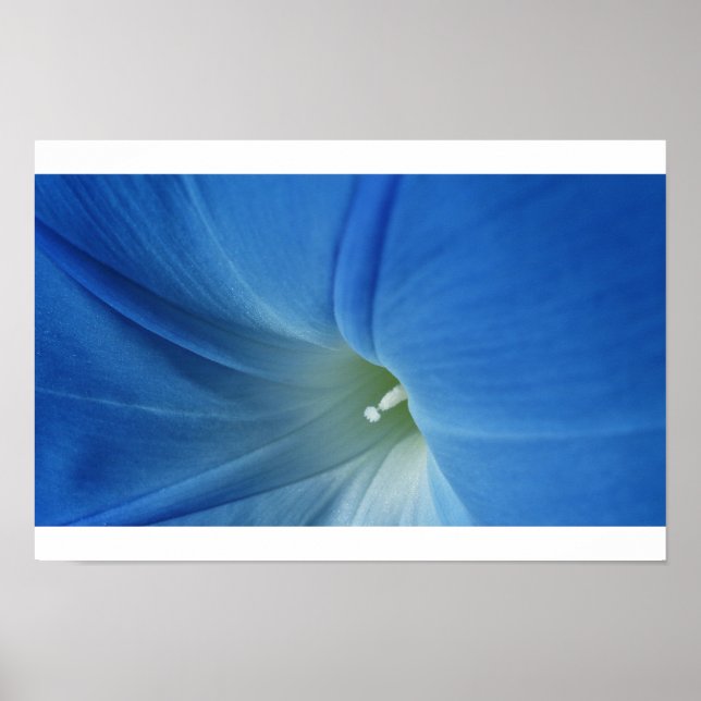 Godmorgon Bloom Poster (Framsidan)
