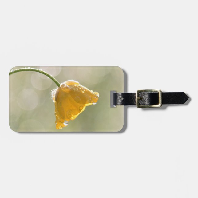 Godsknappsetikett Bagagebricka (Horisontell Framsida)