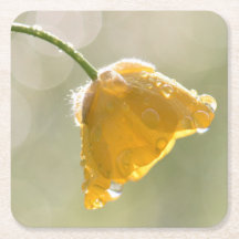 Godsknappsruta Underlägg