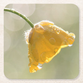 Godsknappsruta Underlägg Papper Kvadrat