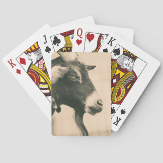 Godsprofil Casinokort