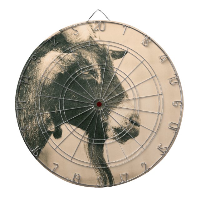 Godsprofil Darttavla (Framsidan)