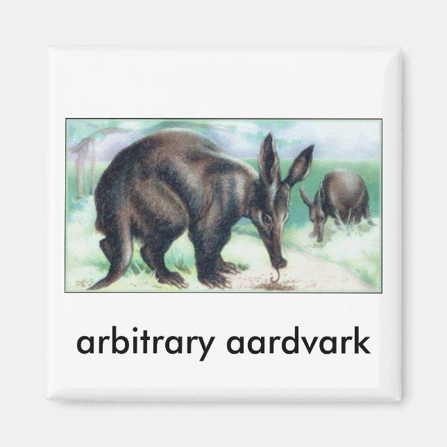 godtycklig aardvark magnet (Framsidan)