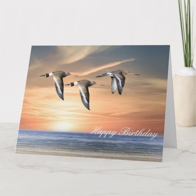 Godwins in Flight Kort (Framsida)