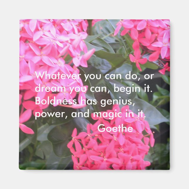 Goethe Motivational Quotation Magnet (Framsidan)