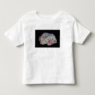 GoethitevisningIridescence T-shirt