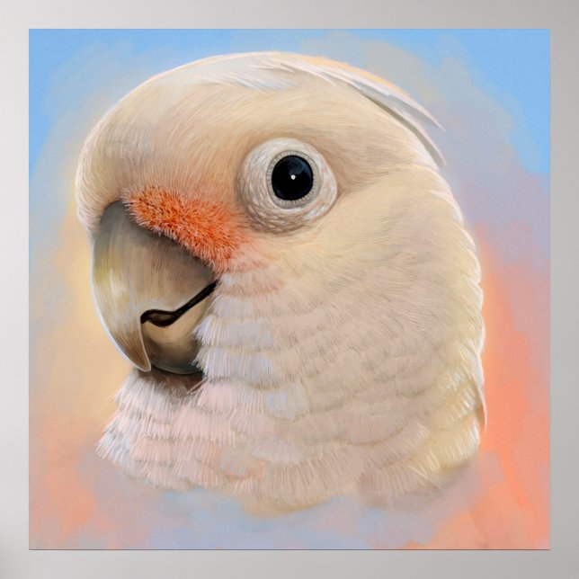 Goffin Tanimbar Corella Cockatoo Poster (Framsidan)