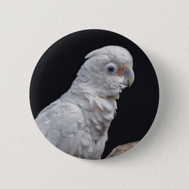 Goffins Cockatoo Badge Knapp (Framsida)