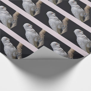 Goffins kakadu-inslagspapper presentpapper