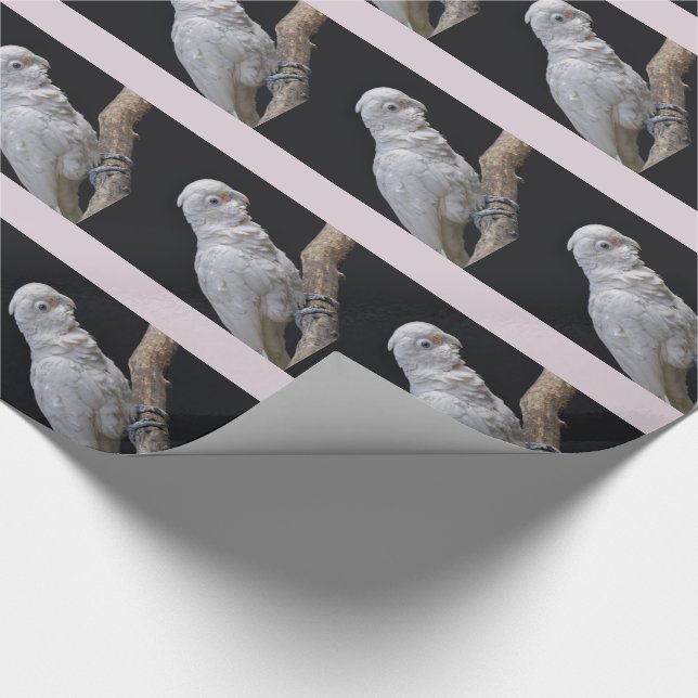 Goffins kakadu-inslagspapper presentpapper (Hörn)