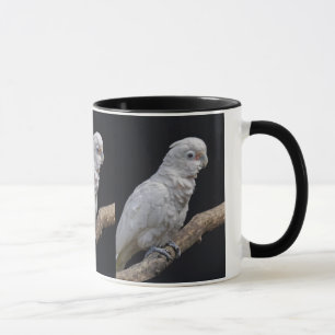 Goffins kakadu-mugg mugg