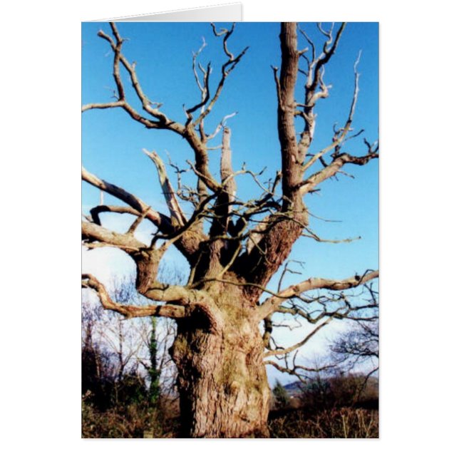 Gog Hälsningskort (Framsidan)